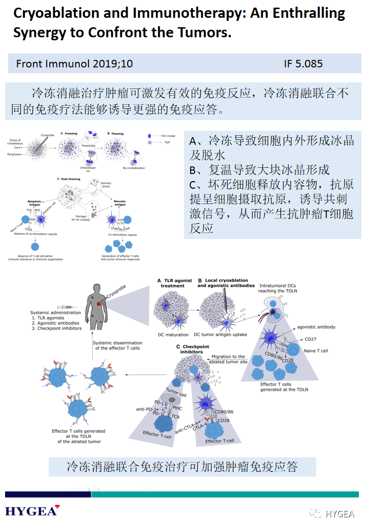 AERrLRIz1N89JQ8fnZcvV6Pe44P1cp6QbjHS2HBQ