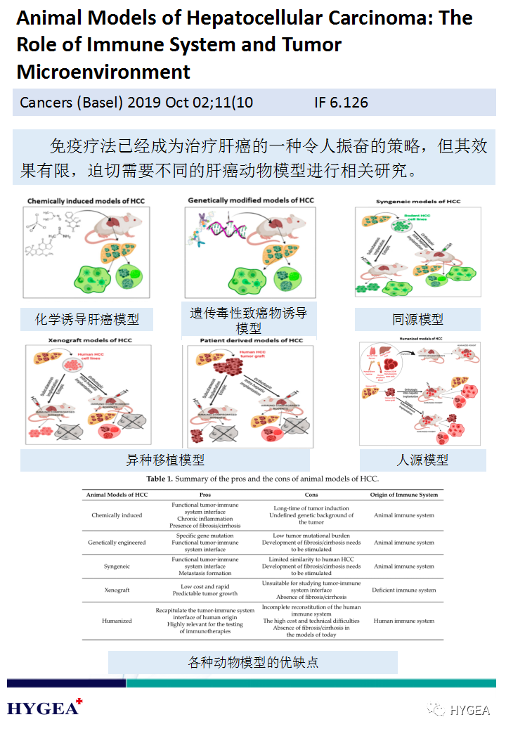 LViIZjzOSGdKxQ9R0x7sWTJzaxEM9ViasFykWz9A