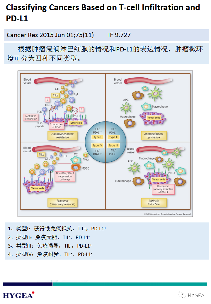 R1tjtYV2xfAtaF87jrHxIgRxpG4T4wRLto6coZwQ