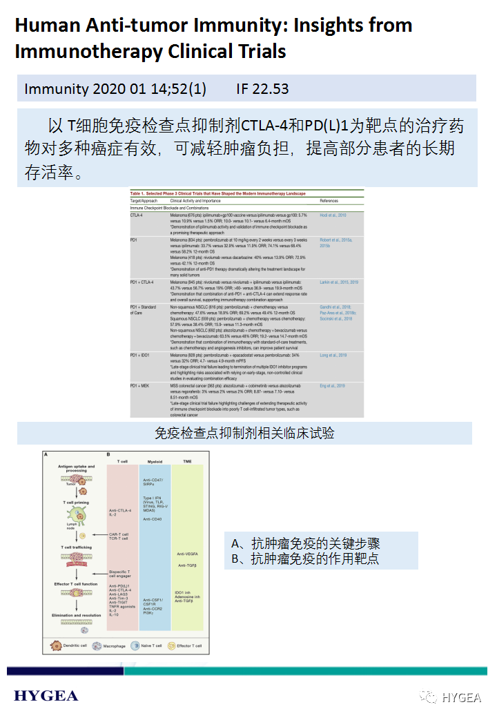 Tuyp1mximxUIUkxKnppLMeLdNFzirazJKR6FWVrm