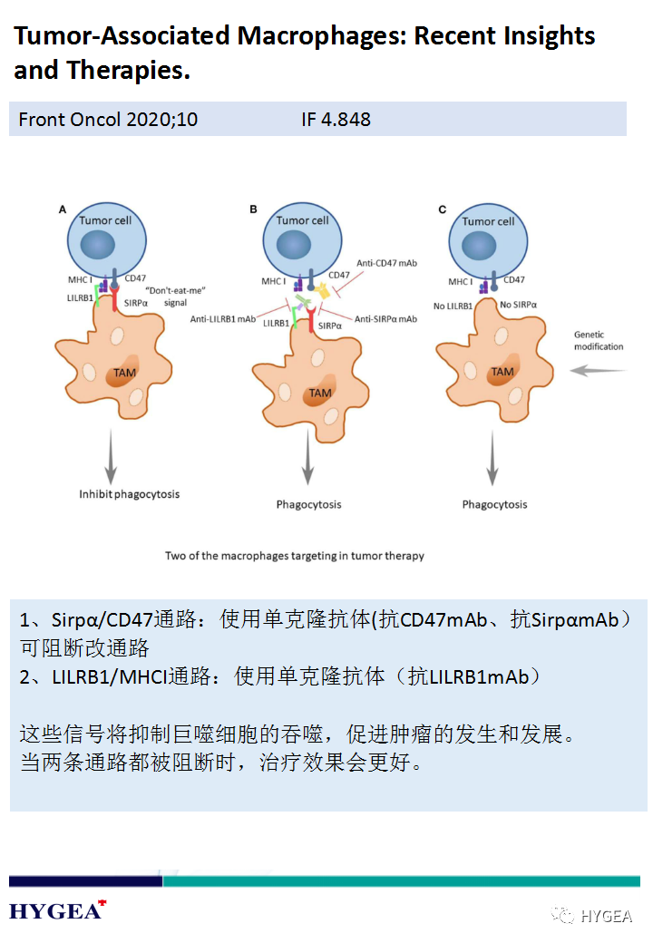 VVNZ76lbMuDH1NaguWjP3j3S4PgOaIoe0IhprMUa
