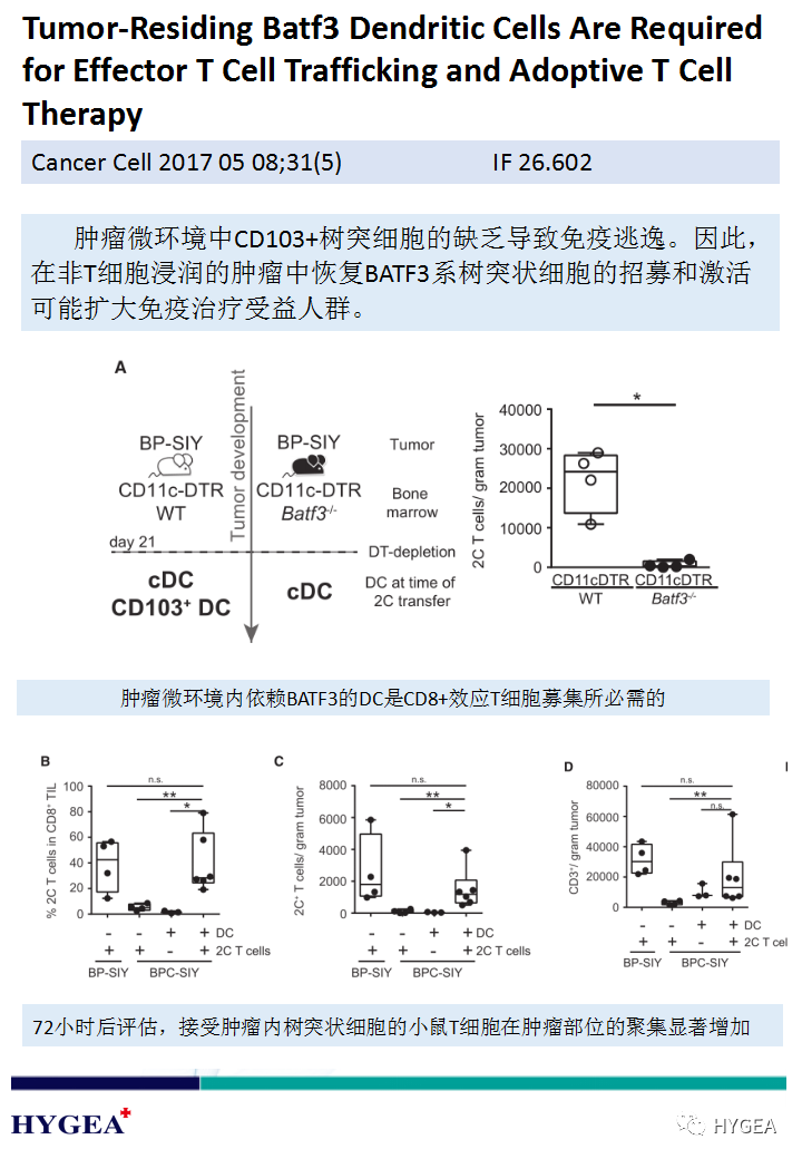 Vh6vvV8XELUwyHFXMjfBcHdOeB9kwMZ31IMqTL0q