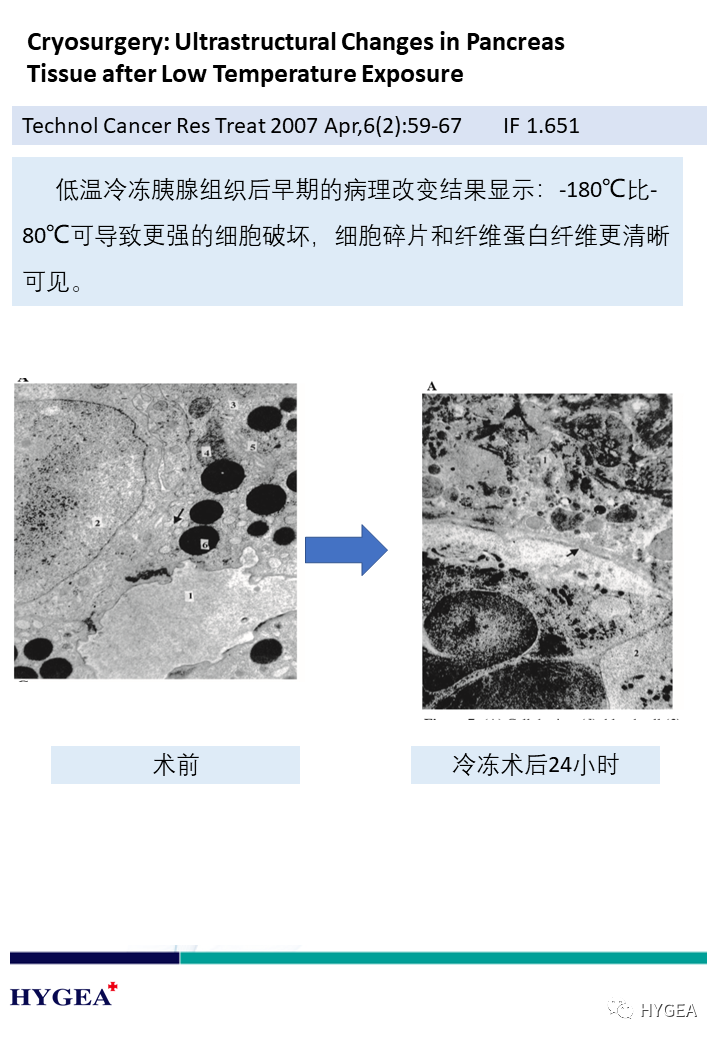 XB9k7r40SJJiEr7A2vo1YeEAd8tSV6KuQLN1rt12