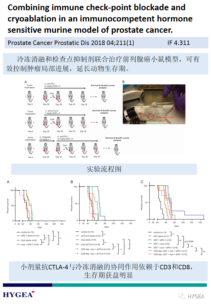 XJlg0JDERISVy8JIdWIHlp4BdmCl6R9rnBUXyWt7