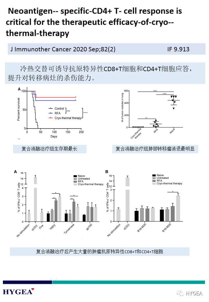 dT5BTCjqPfXfmfJuc40HpCwt48FeTmWMKCaQF3jV