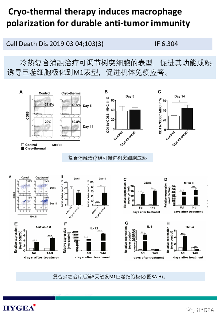 hN7vXnyu1XmuWy8MJ3FwjF9DdI4FC6fSAhcvPVGz