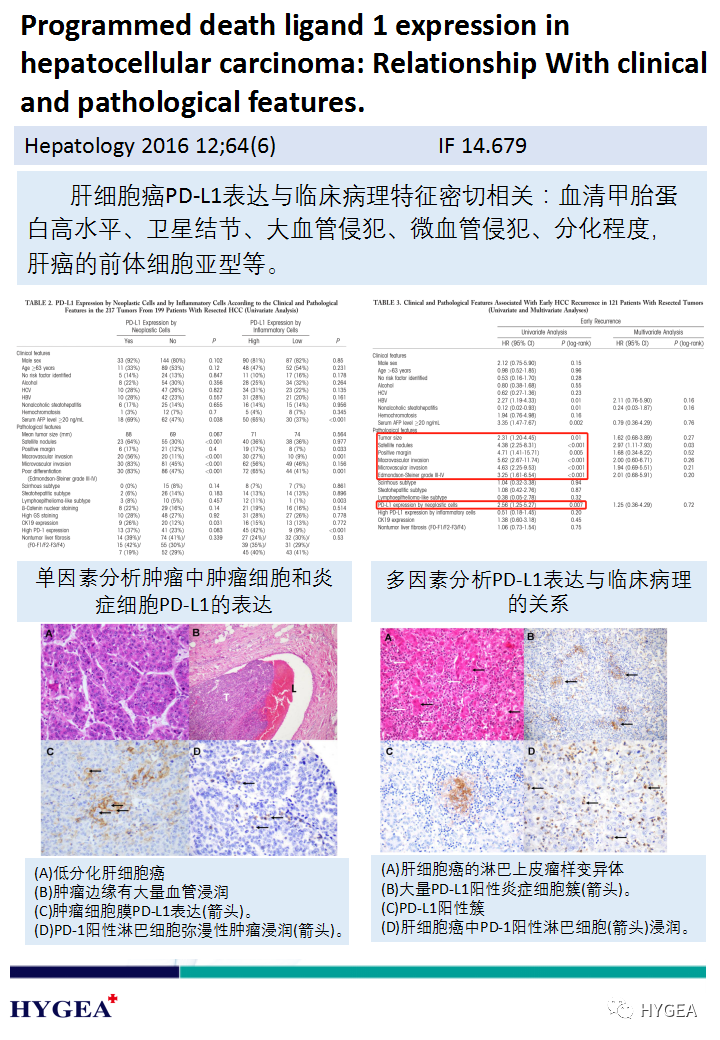 ohzg6D0LF5Nwi9qFUTlEs6suZJ8HII279fMucWDH