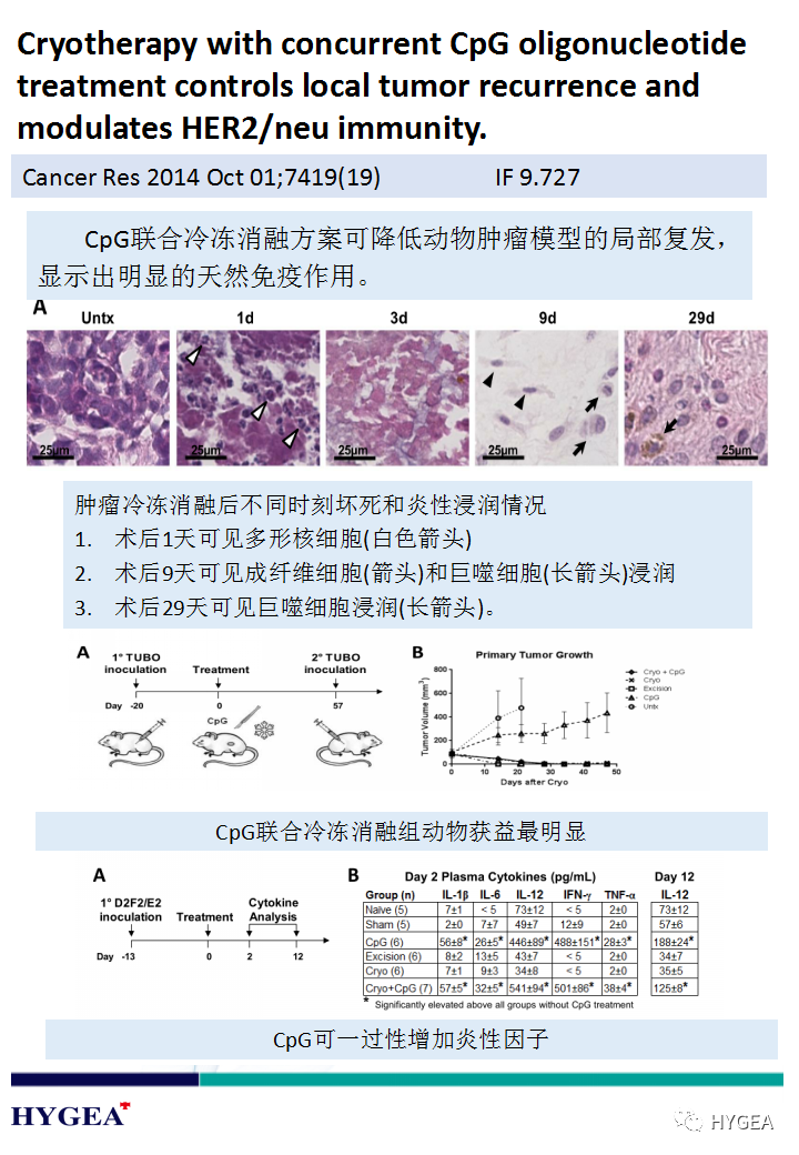 qDFleGOvv4N61W2LGONWGKPIv31aZEV05sbhT7nN