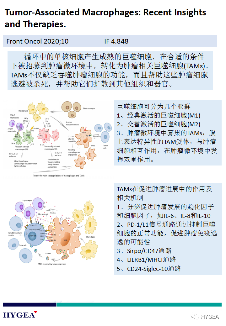 yhXY1f7UMv9mKROuZMYPSLr7P760RuoZWJJGuPgK