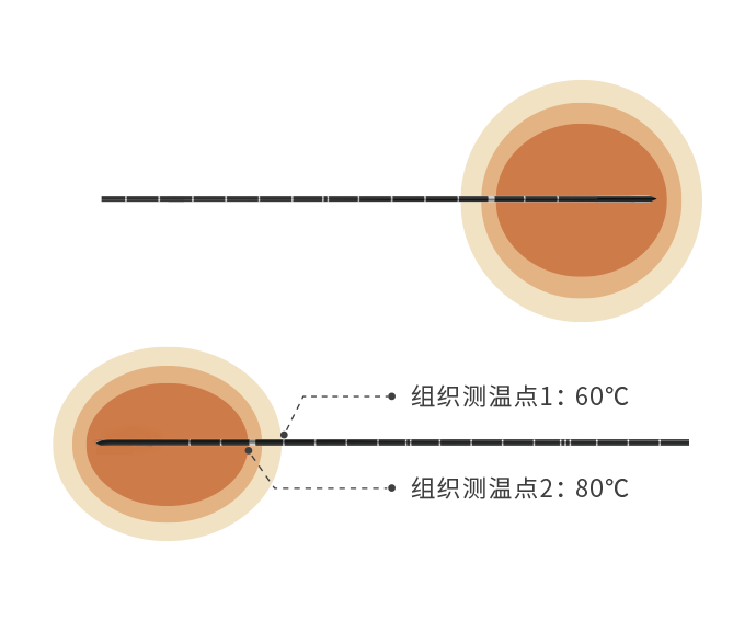 sR1y5VzGDOTCS7tXTXt2o5CDIdAYzUWPvmP1IGBc