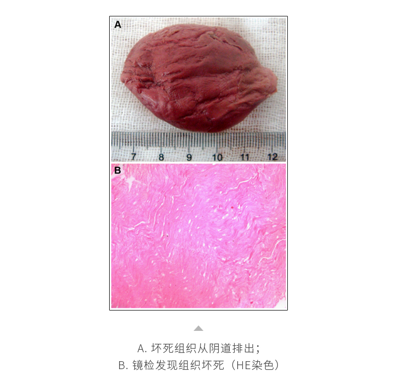 LQRhXMwcqrxvrCdXB4CugOgsyPmt5aRcnAIvRiXd