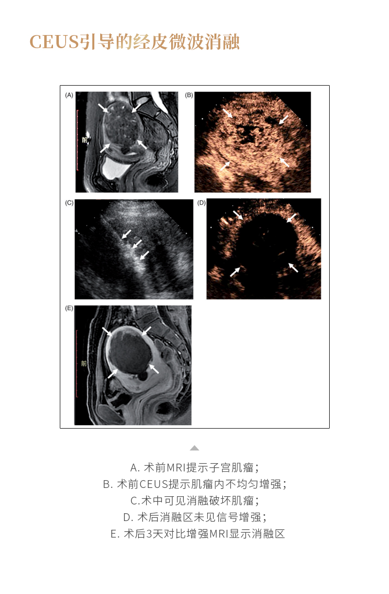 gYDRd0PC4wTS3XtZkoUqLj1ZJMbZqATD91QHx1rE