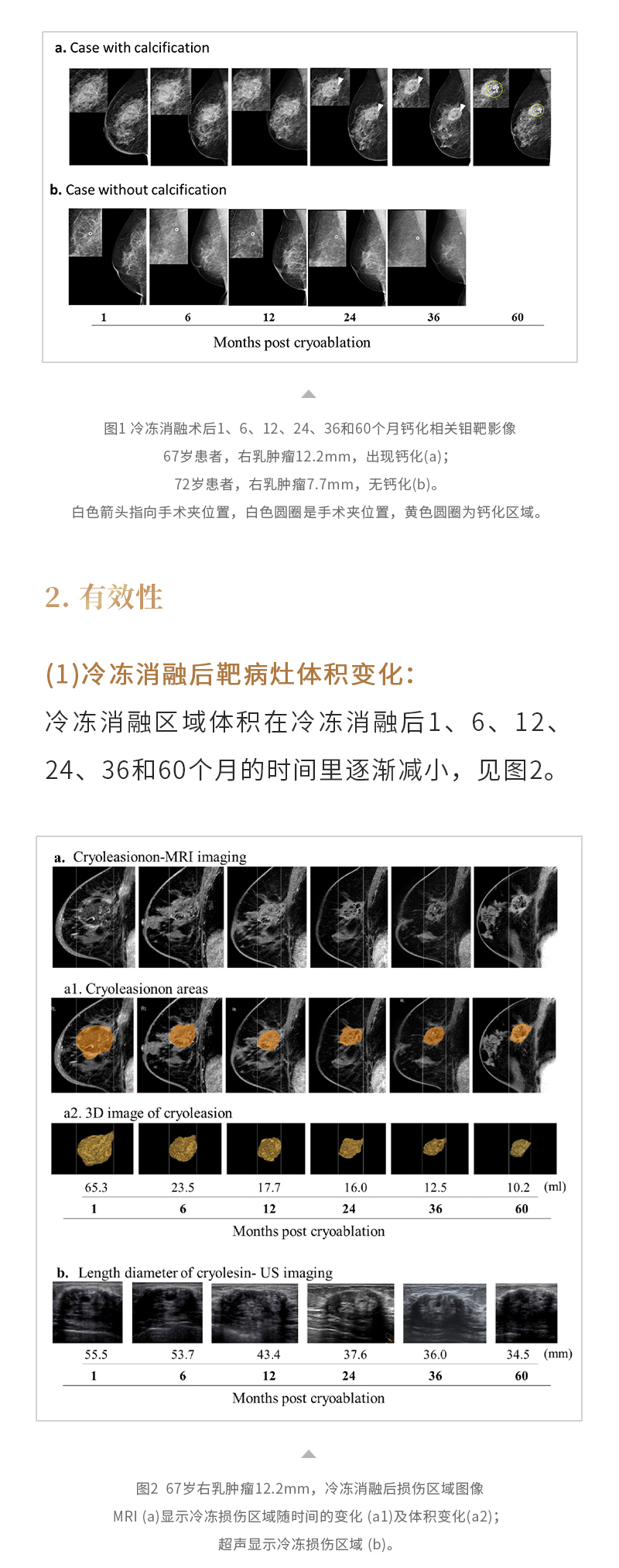 CwUrN9IY2vJTscAyli4RhEaEYXRzIvG1KDygXURO