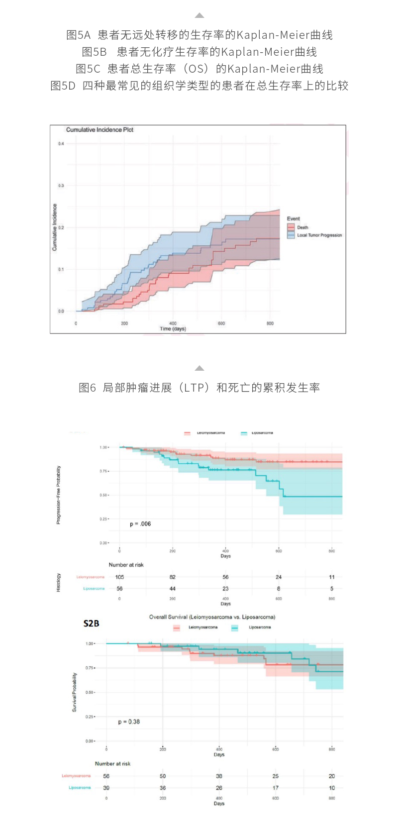 rSXpJLKtaeeHqwuff0j4TGWBVFMeYlZf7EAEXRZM