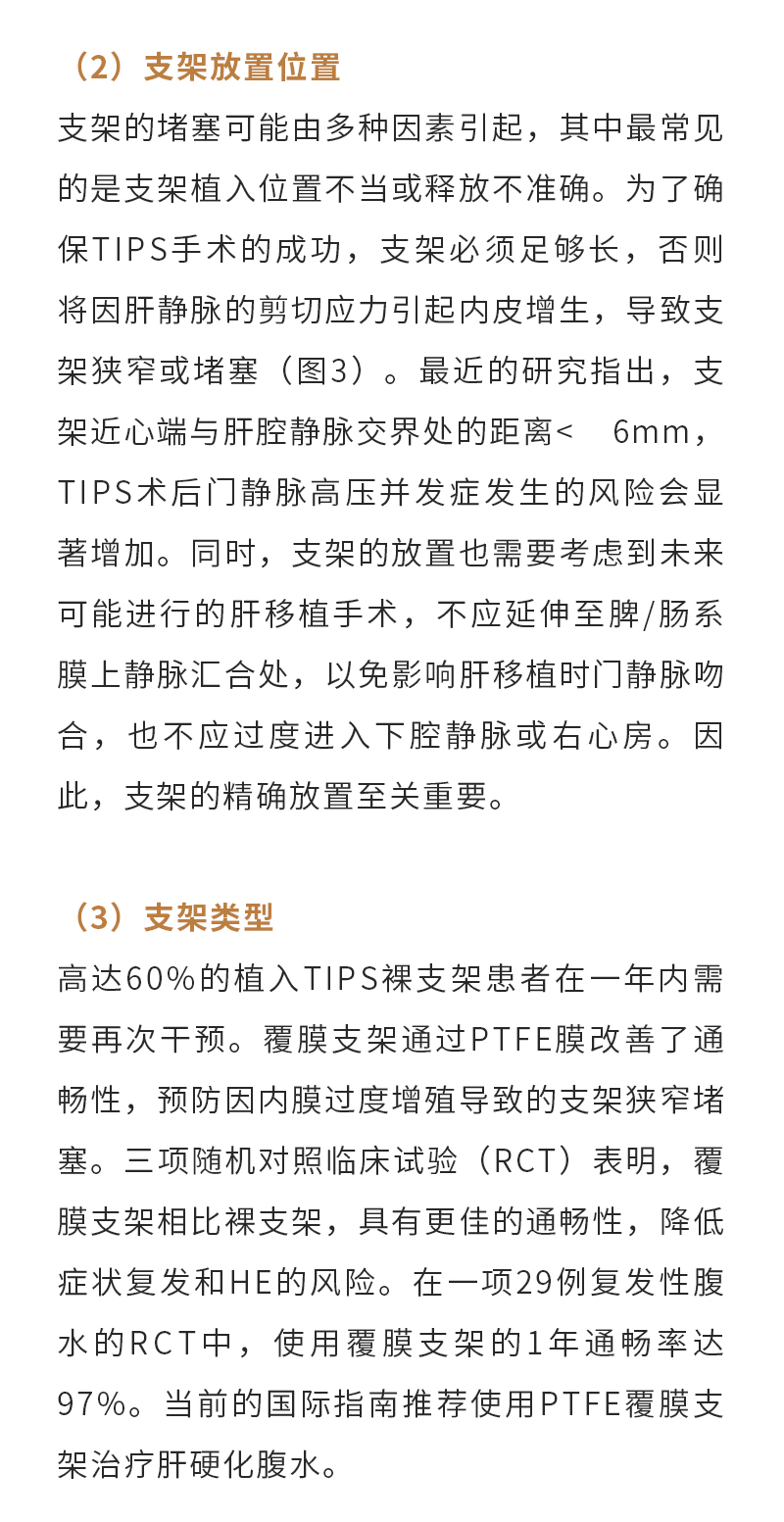 vzP3dBQIHYoY3fQXOh37eLStD1ueBQD2Glmwgnzw