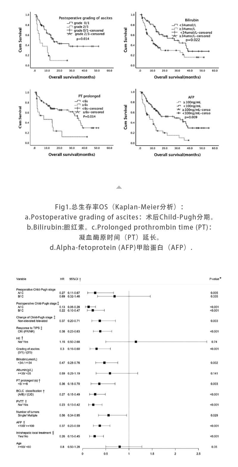 fWIAM7gIsJZZcBowm86wTijXwlcXzQl912V6zdQQ