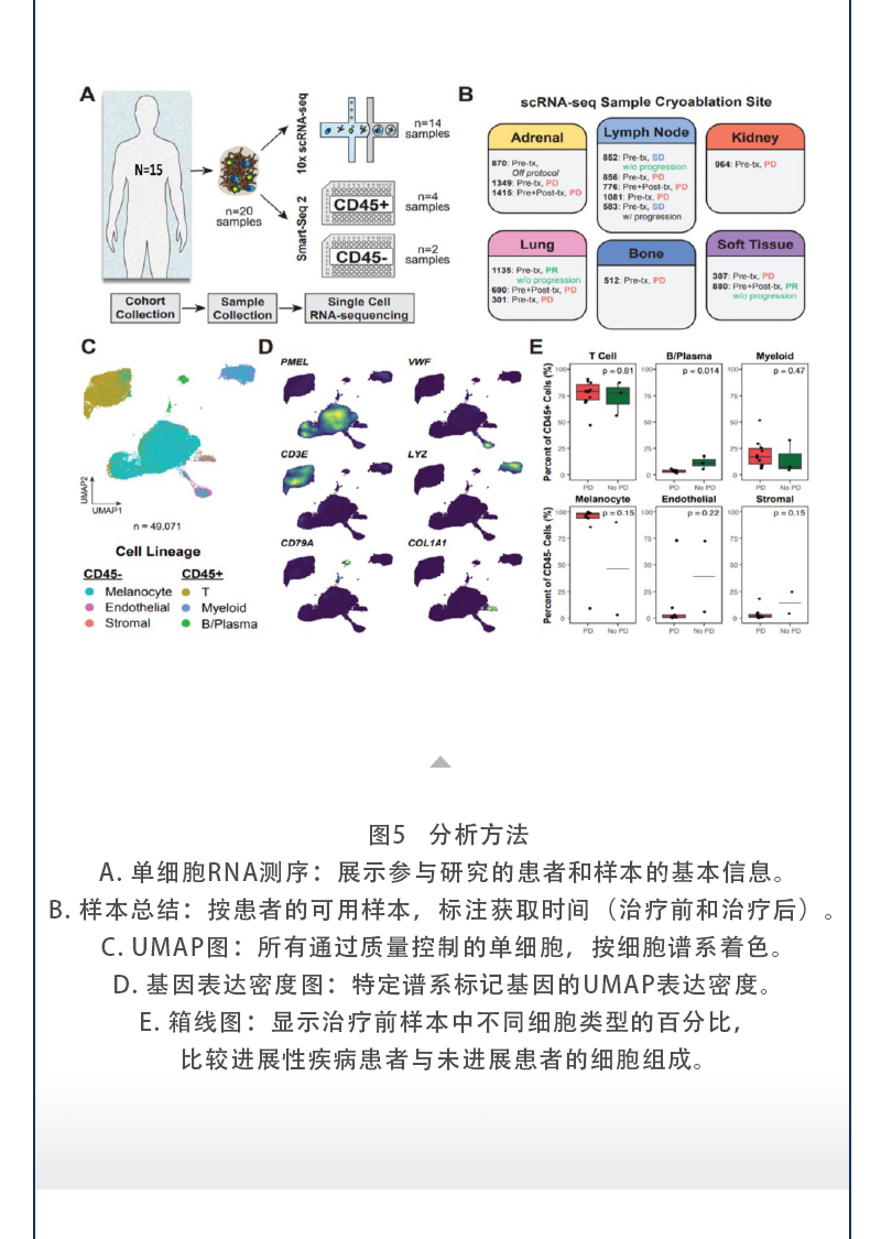 w75D7McSxpMcnmAiwyiOcmxUlQnaxkzAeWLSoh4c