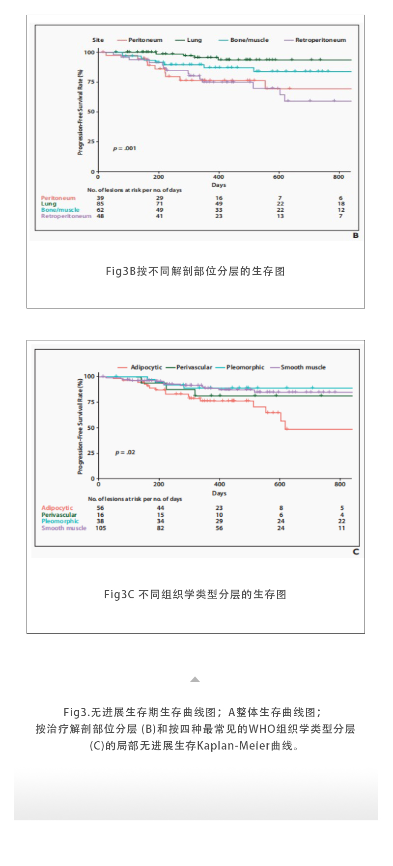cJQ3Rg8fvpUbc0gxOClCkITHR1PWwMrmLT1lNsb0