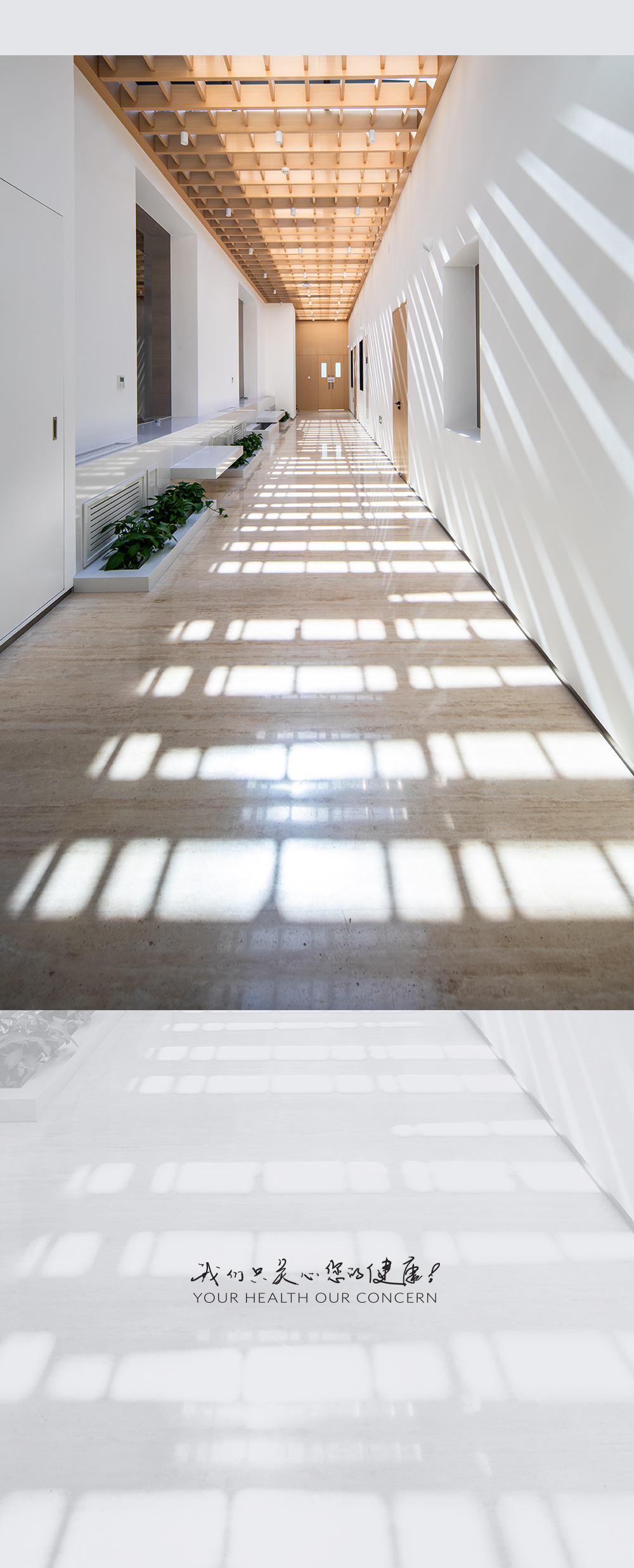 pqYXCfsFmQx5w2SOSCImhqfZxJZPVJKjdxNa8mVW