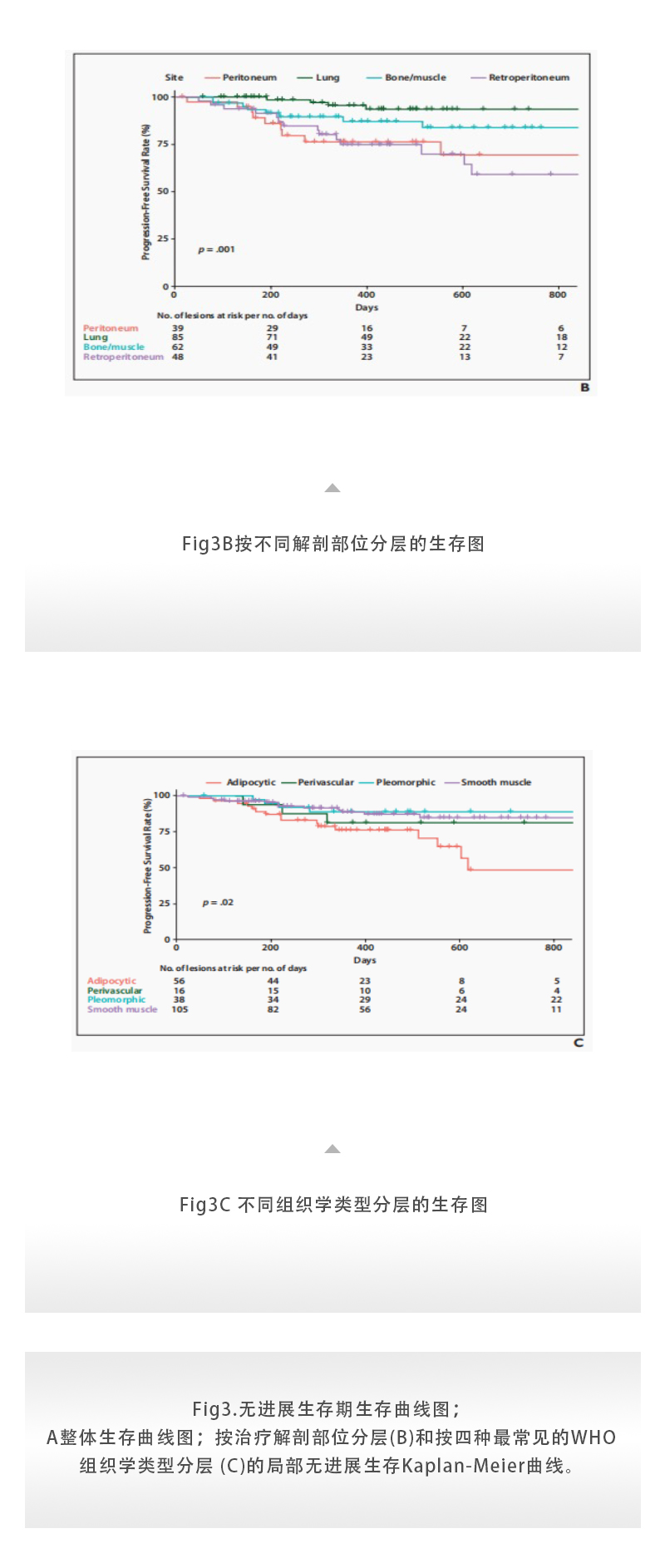 aHQ4SNGqv3fU4IAZJdngwH8Im1FoMTybkmWC4qE9